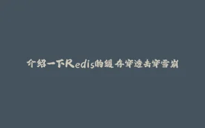 介绍一下Redis的缓存穿透击穿雪崩-拾光赋