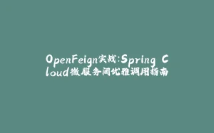 OpenFeign实战：Spring Cloud微服务间优雅调用指南-拾光赋