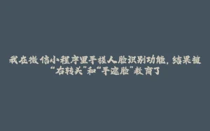 我在微信小程序里手搓人脸识别功能，结果被“右转头”和“手遮脸”教育了-拾光赋