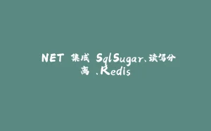 .NET 集成 SqlSugar、读写分离 、Redis-拾光赋
