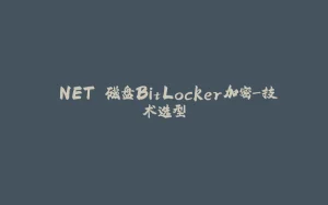 .NET 磁盘BitLocker加密-技术选型-拾光赋