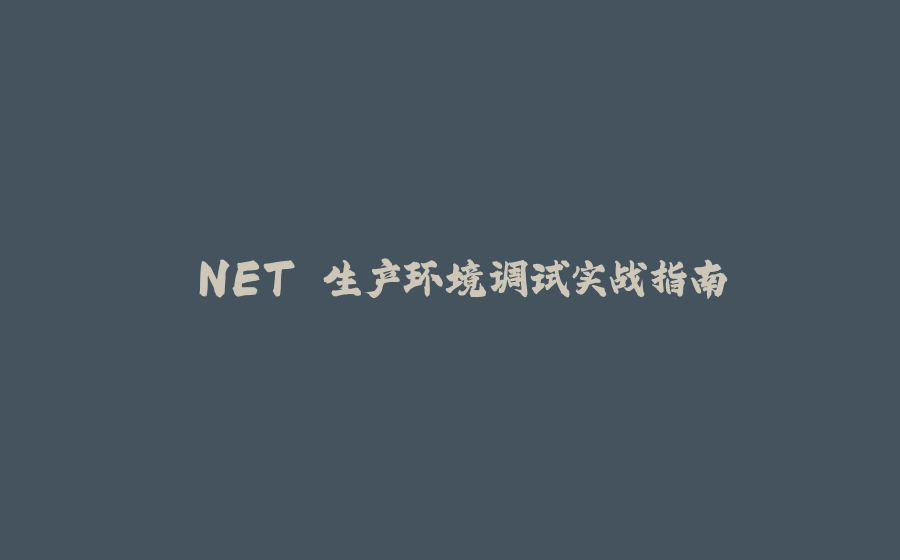 .NET 生产环境调试实战指南 - 拾光赋-拾光赋