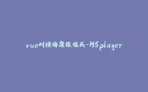 vue对接海康摄像头-H5player-拾光赋