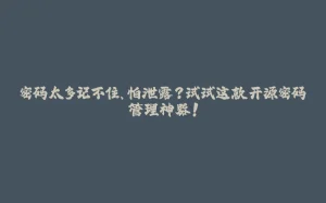 密码太多记不住、怕泄露？试试这款开源密码管理神器！-拾光赋
