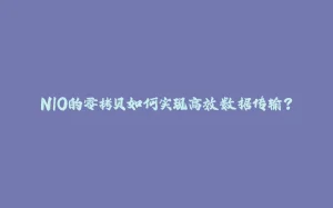 NIO的零拷贝如何实现高效数据传输？-拾光赋