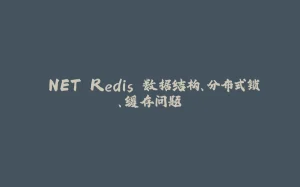 .NET Redis 数据结构、分布式锁、缓存问题-拾光赋