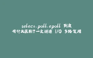 select、poll、epoll 到底有什么区别?一文讲透 I/O 多路复用-拾光赋