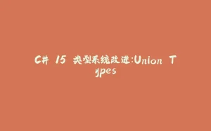 C# 15 类型系统改进：Union Types-拾光赋