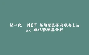 记一次 .NET 某智慧医保云服务Linux 非托管泄露分析-拾光赋