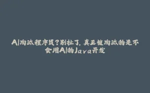 AI淘汰程序员？别扯了，真正被淘汰的是不会用AI的Java开发-拾光赋