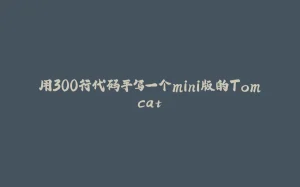 用300行代码手写一个mini版的Tomcat-拾光赋